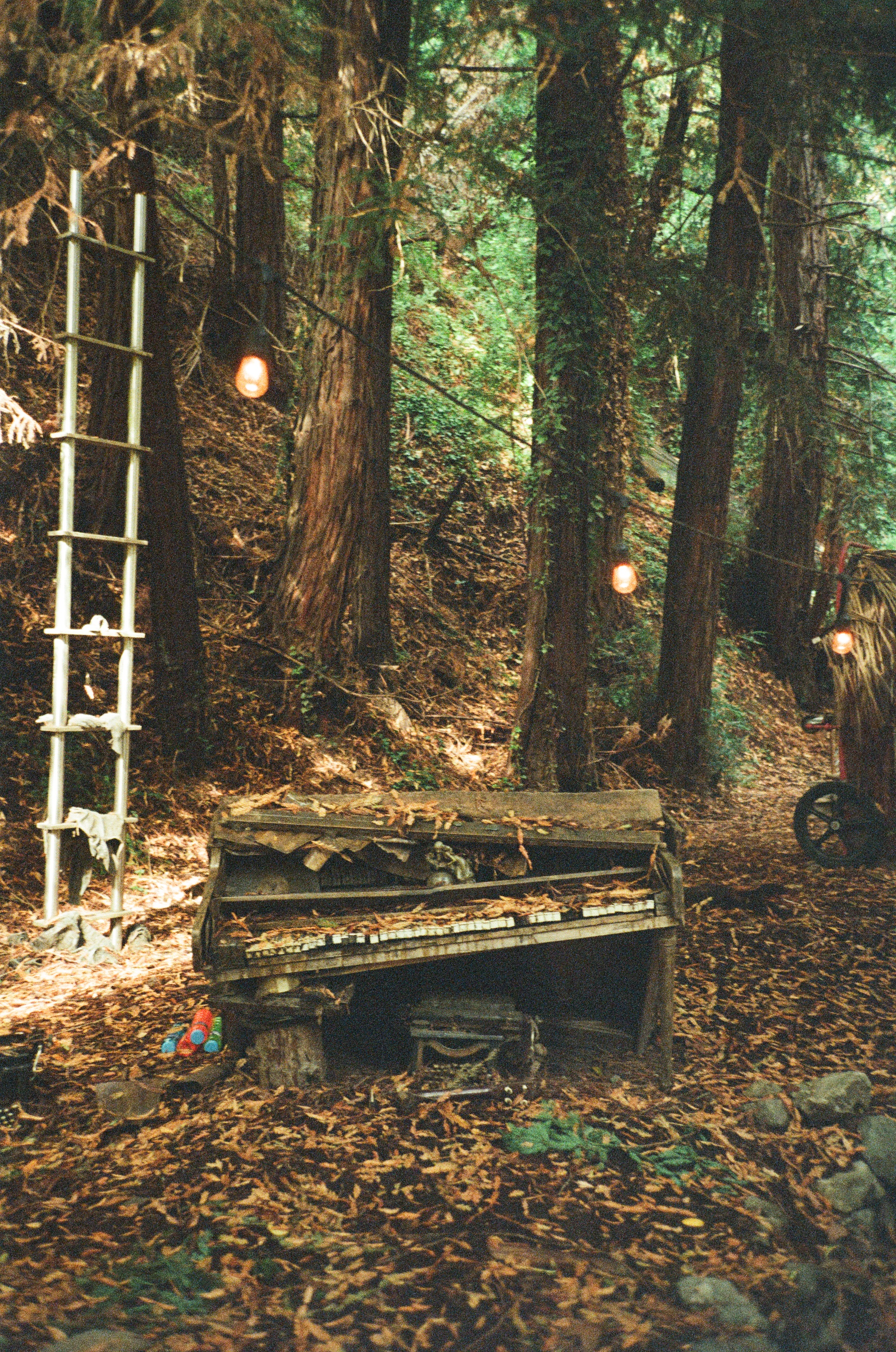 piano in the woods
